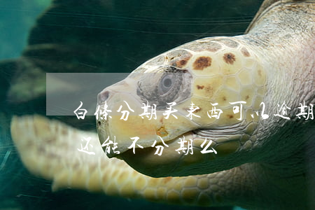 白条分期买东西可以逾期吗(白条已经分期了还能不分期么)
