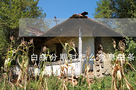 白条分期时怎么免息(白条分期免息还要手续费吗)