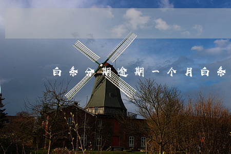 白条分期逾期一个月(白条逾期俩月)