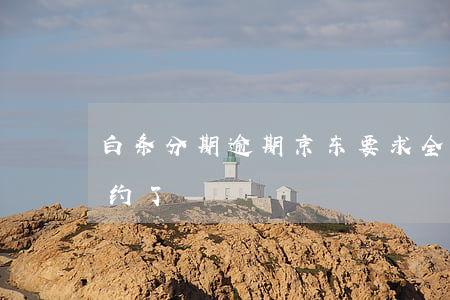 白条分期逾期京东要求全款(京东白条分期违约了)