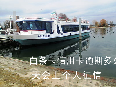 白条卡信用卡逾期多久上征信(白条逾期多少天会上个人征信)