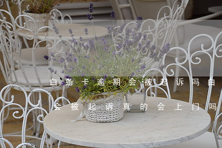 白条卡逾期会被起诉吗 白条逾期一万多多久会被起诉,真的会上门吗?