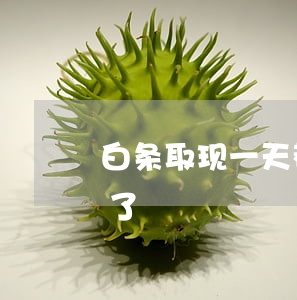 白条取现一天都没到账（白条逾期1天取现不了）