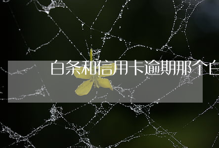 白条和信用卡逾期那个 白条可以逾期嘛