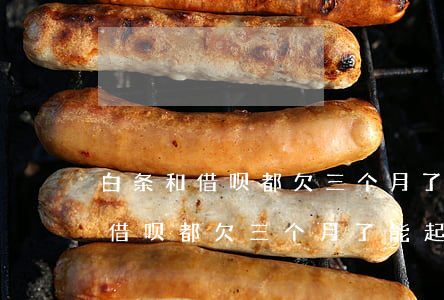 白条和借呗都欠三个月了能起诉吗-白条和借呗都欠三个月了能起诉吗怎么办