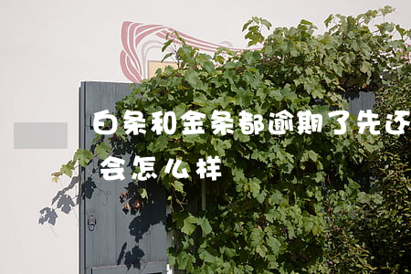 白条和金条都逾期了先还哪个(白条金条逾期会怎么样)
