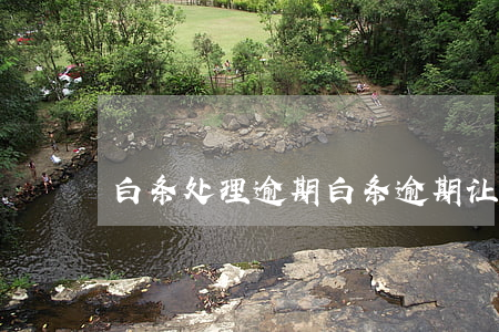 白条处理逾期(白条逾期让一个小时内处理)