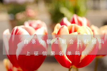 白条小额逾期会上征信吗(白条逾期一个月会上征信黑名单吗)