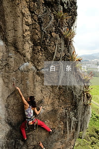 白条征信怎么查（白条逾期征信哪里查）
