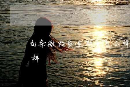 白条微粒贷逾期会怎么样(微粒贷逾期后会怎样)