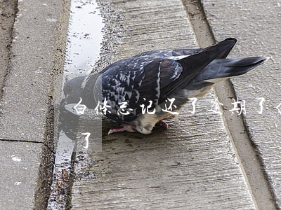 白条忘记还了逾期了(白条忘记还款逾期六天了)