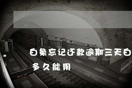 白条忘记还款逾期三天(白条逾期还完了之后多久能用)