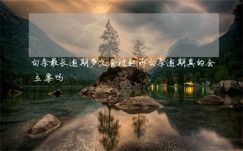 白条最长逾期多久会被起诉(白条逾期真的会立案吗)
