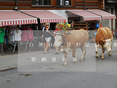 白条有欠款但是没逾期影响征信吗(白条逾期影响征信么)