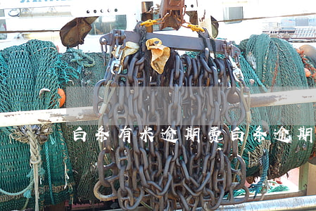 白条有米逾期费(白条逾期费用太高了)