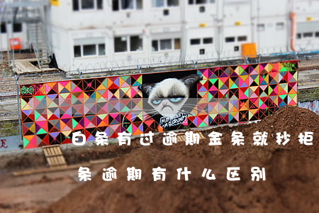 白条有过逾期金条就秒拒吗-白条逾期和金条逾期有什么区别
