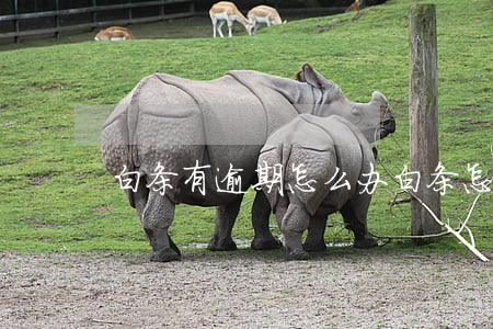 白条有逾期怎么办（白条怎么逾期）