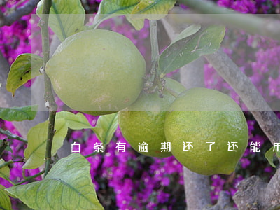 白条有逾期还了还能用吗