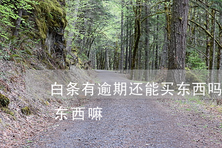 白条有逾期还能买东西吗（白条逾期后还能买东西嘛）