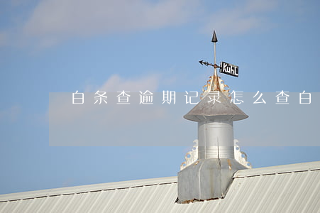 白条查逾期记录怎么查(白条逾期记录在哪看)