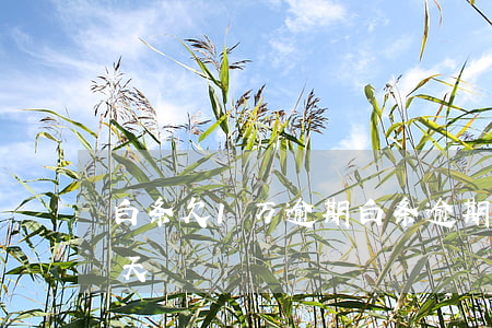 白条欠1万逾期(白条逾期一百欠款逾期25天)