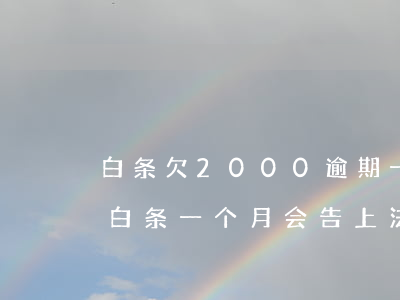 白条欠2000逾期一个月会被起诉吗（逾期白条一个月会告上法院吗）