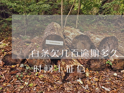 白条欠几百逾期多久上征信-白条逾期多长时间上征信