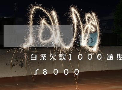 白条欠款1000逾期(白条逾期100天欠了8000)