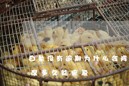 白条没有逾期为什么会降额-白条逾期降额度多久能恢复
