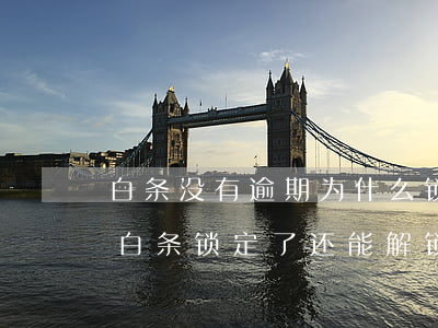 白条没有逾期为什么锁定(白条逾期一个多月白条锁定了还能解锁吗)