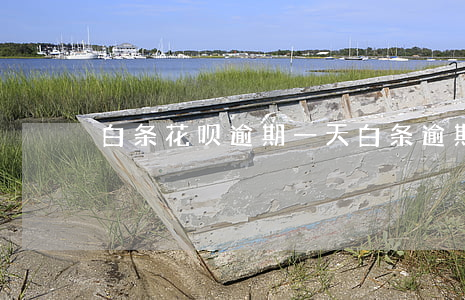 白条花呗逾期一天 白条逾期了花呗用不了