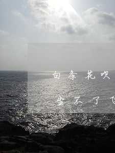 白条花呗逾期能坐飞机吗(花呗欠款逾期太长坐不了飞机怎么办)