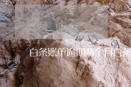 白条账单逾期两个月(白条连续三个月逾期)