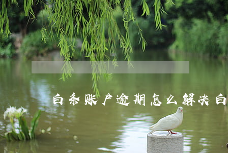 白条账户逾期怎么解决(白条逾期解锁失败)