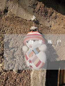 白条账户逾期锁定了怎么取出来-