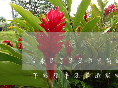 白条还了还显示当前逾期(白条逾期还完了,剩下的账单还算逾期吗)