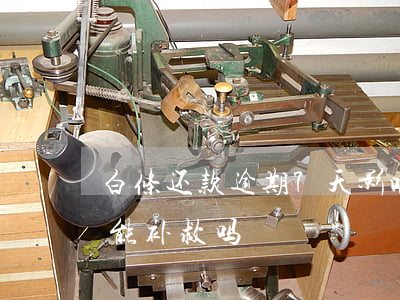 白条还款逾期7天影响贷款吗(白条逾期7天能补救吗)