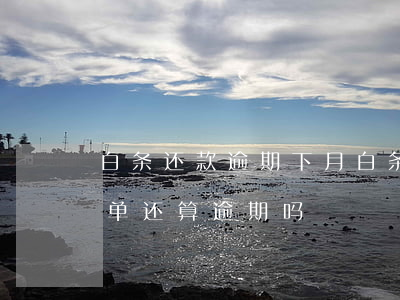 白条还款逾期下月(白条逾期还完了,剩下的账单还算逾期吗)