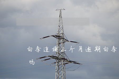 白条连续三个月逾期(白条逾期两个星期严重吗)