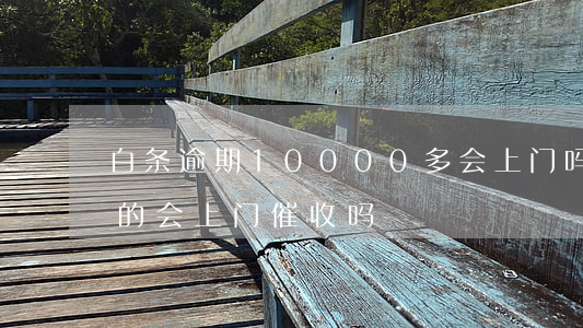 白条逾期10000多会上门吗 白条逾期真的会上门催收吗