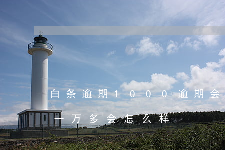 白条逾期1000逾期会怎样-白条逾期欠一万多会怎么样