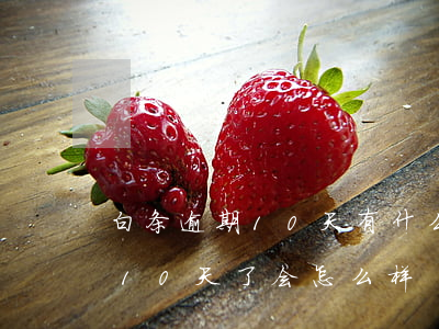 白条逾期10天有什么影响没有（白条逾期110天了会怎么样）