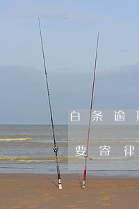 白条逾期10天说要发函(白条逾期80天说要寄律师函)