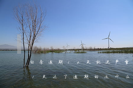 白条逾期12天就说严重逾期了 白条逾期11天,还了逾期的,没什么事了吧