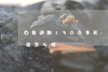 白条逾期1300多天-白条逾期两百多天会怎么样