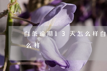 白条逾期13天怎么样(白条逾期十五天会怎么样)