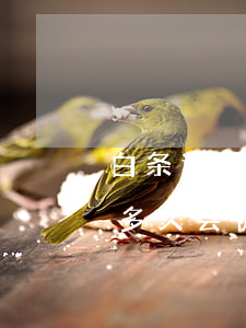 白条逾期150天会起诉吗(白条逾期一万多多久会被起诉,真的会上门吗?)