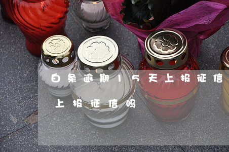 白条逾期15天上报征信吗(白条逾期15天上报征信吗)