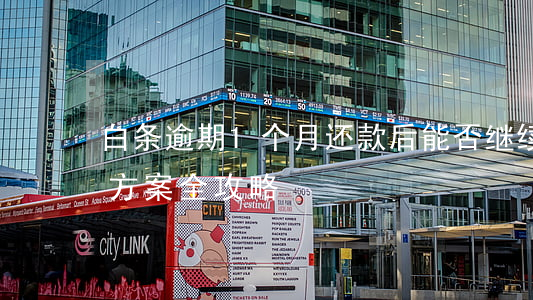 白条逾期1个月还款后能否继续使用？解决方案全攻略！