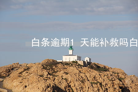 白条逾期1天能补救吗（白条逾期一个月止付）